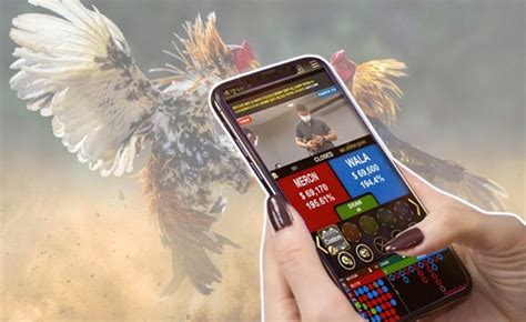 www.sabongww4.live|mijn live inloggen.